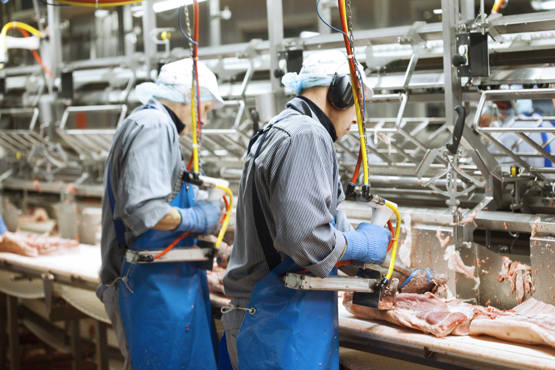 The new Food Safety Management Tool helps the meat ...