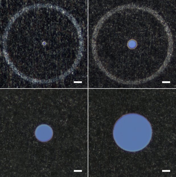 A collage of four optical microscope images, all showing an accurate machined pinhole. Each image has a white scale bar measuring 10 m.